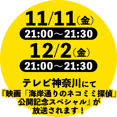 11/11（金）21:00～21:30・12/2（金）21:00～21:30 テレビ神奈川にて『映画「海岸通りのネコミミ探偵」公開記念スペシャル』が放送されます！